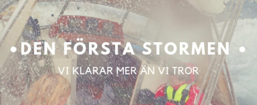 Den-forsta-stormen