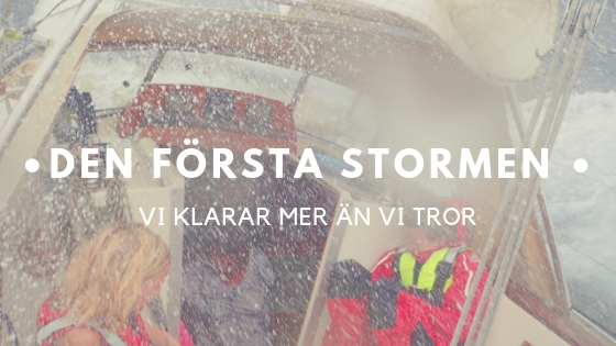 Den-forsta-stormen