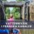 Vattennivan i Frankrike