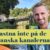 Fastna-inte-thumbnail